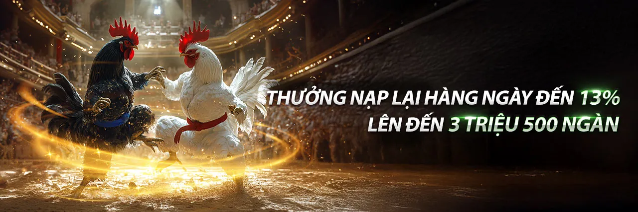 Đá gà trực tuyến YY88 với không khí sôi động và các trận đấu kịch tính